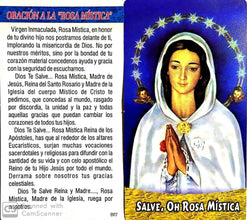 Virgen de la Rosa Mística Necklace Religious Catholic Pendant.Christian Medal