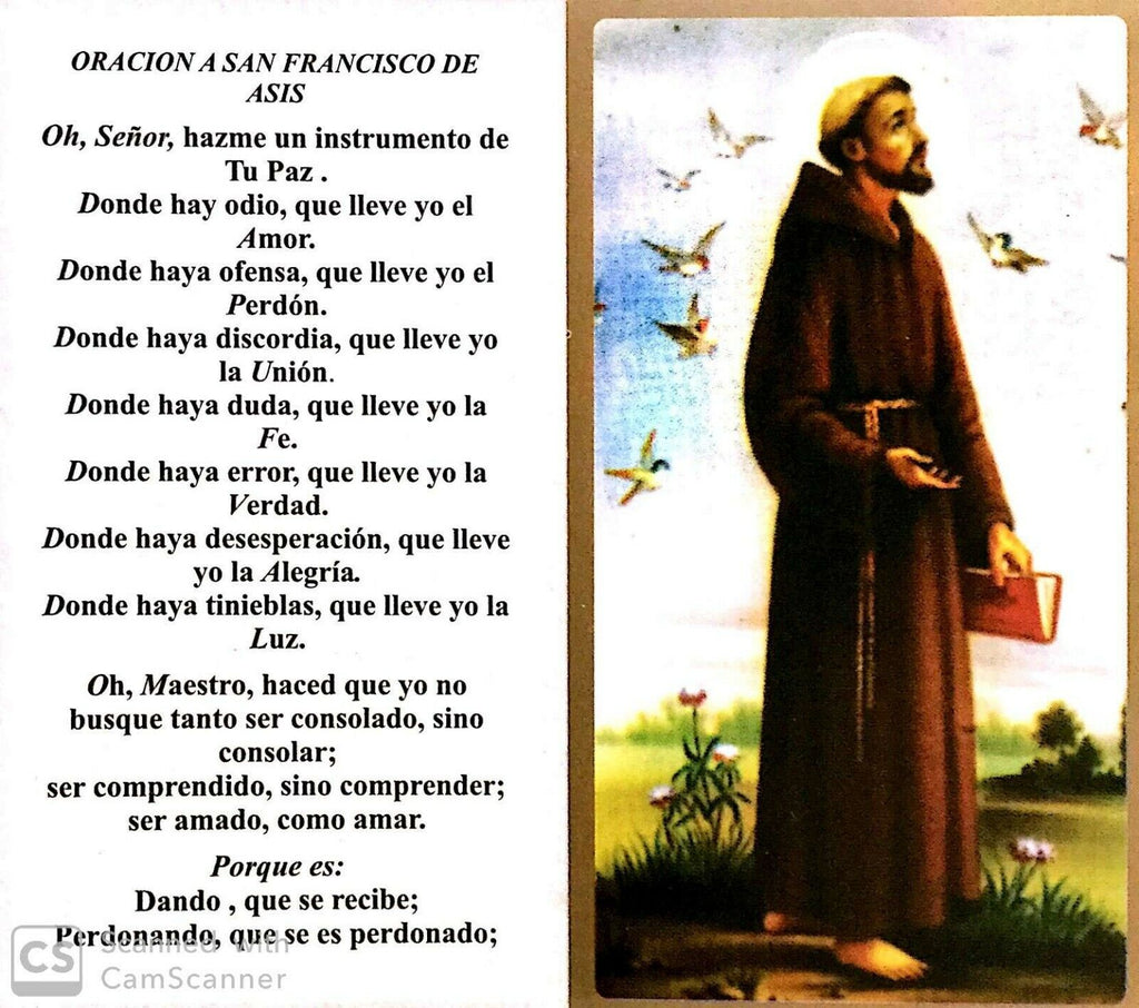 San Francisco De Assis Medal - St. Francis Assisi Medal with 20 inch Chain