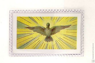 25 HOLY SPIRIT Small Laminated Holy Prayer card Espíritu Santo Confirmation Dove
