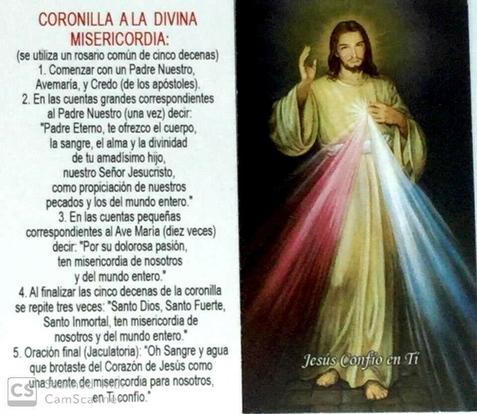  Divine Mercy Medal Sivler Tone Catholic Jesus de Divina Misericordia Medalla 