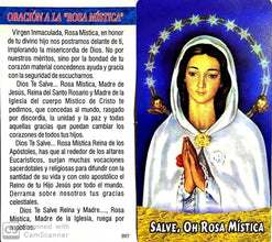 Rosa Mística Catholic Medal Hanging Pearl Traveler's One Decade Auto Rosary 7