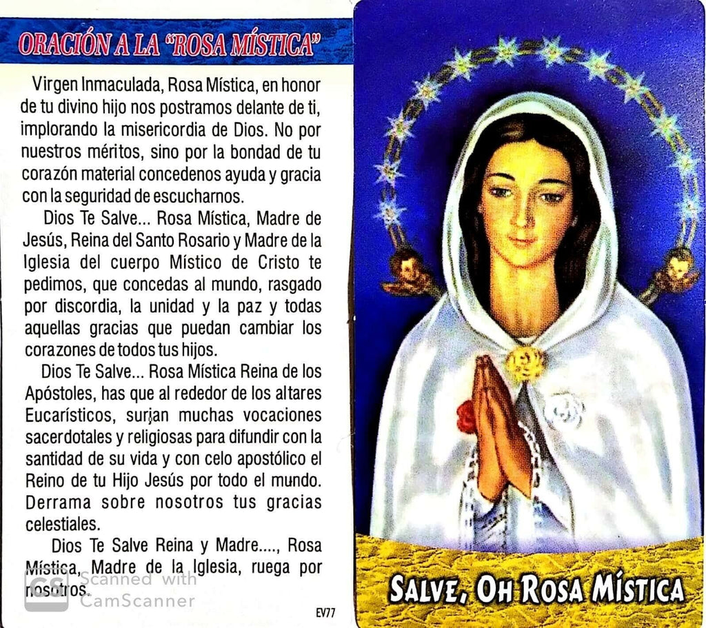 3" Rosa mistica wooden Wood CROSS Crucifix black cord Mystical ROSE CRUZ 🇻🇪 