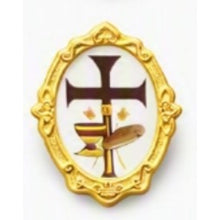 Gold-tone First Holy Communion / Primera Comunión lapel pin