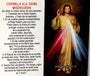 100 Divine Mercy Prayer Cards in Spanish,Oración de la Corona de la Divina Misericordia