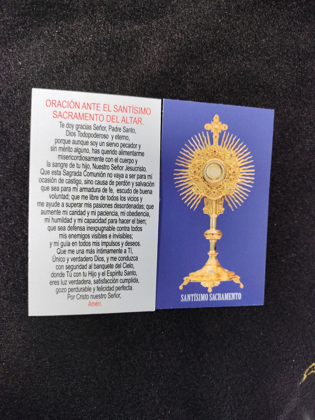 Eucharistic Adoration Spanish Prayer Cards, Pack of 100 | Estampas Adoración Eucarística